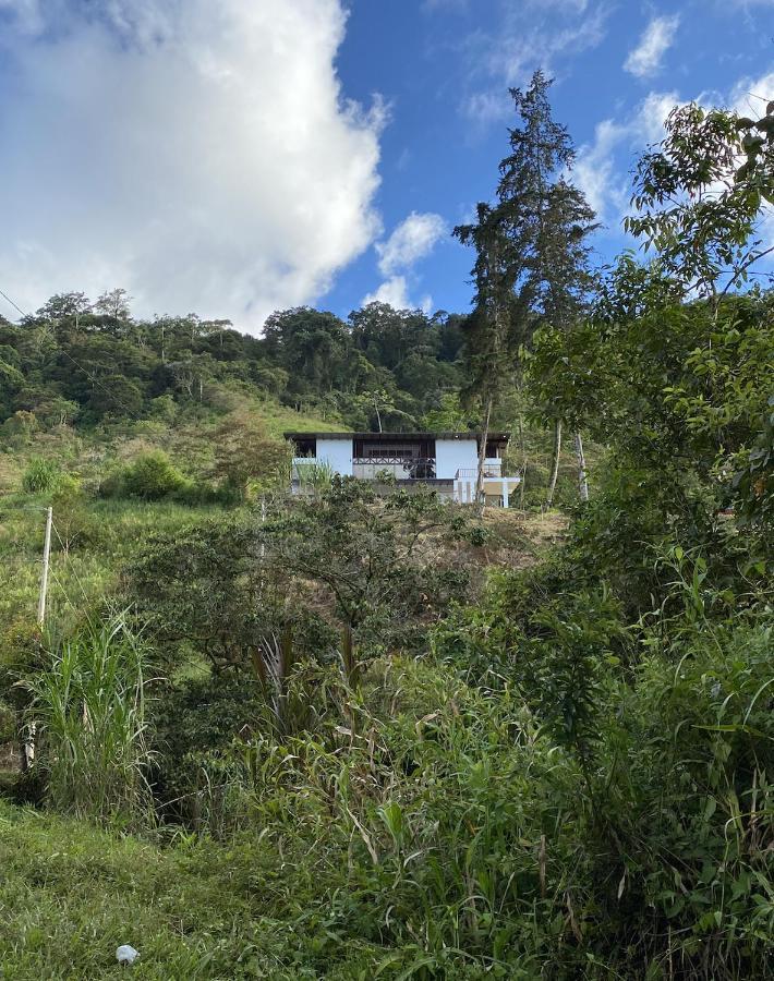 Arte De Plumas Birding Lodge 迦太基 外观 照片