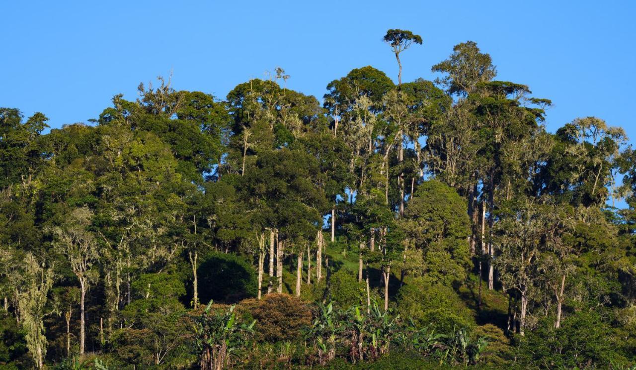 Arte De Plumas Birding Lodge 迦太基 外观 照片