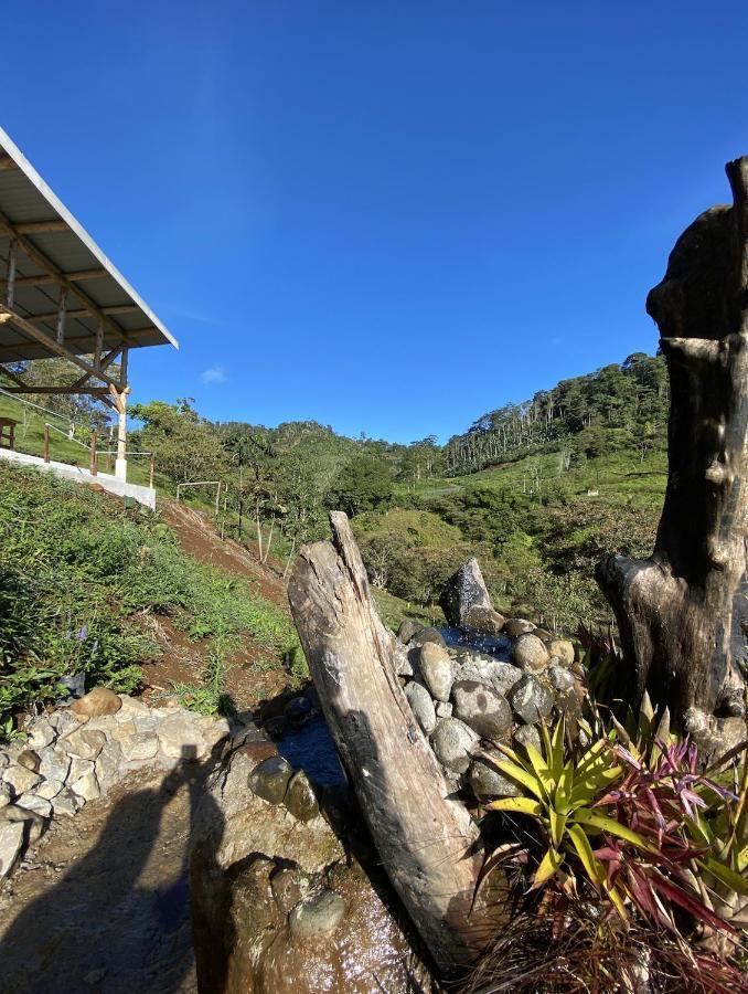 Arte De Plumas Birding Lodge 迦太基 外观 照片