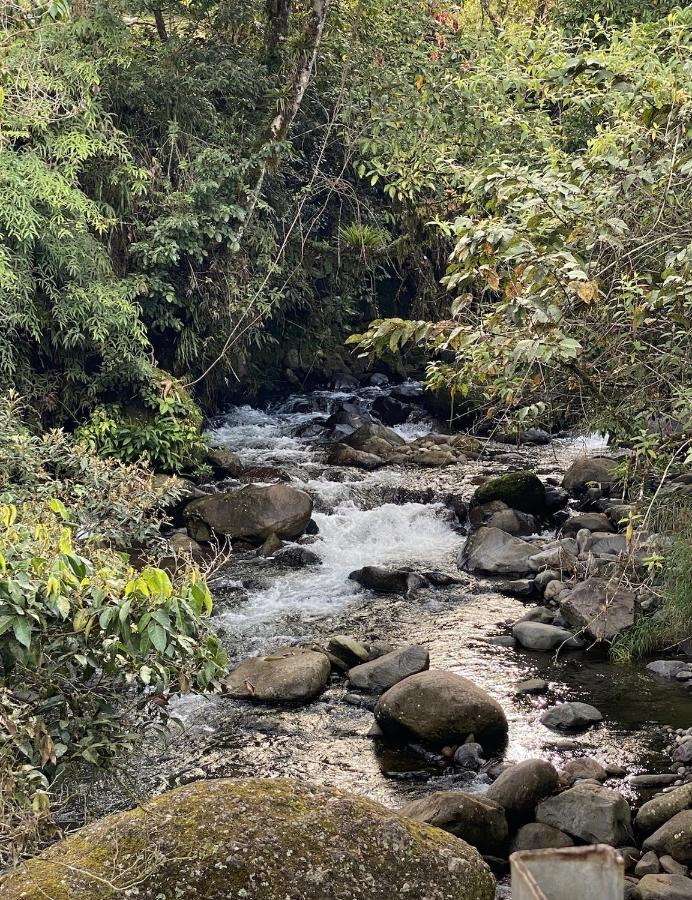 Arte De Plumas Birding Lodge 迦太基 外观 照片