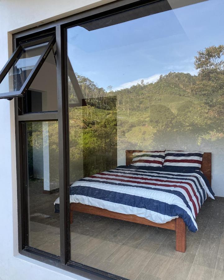 Arte De Plumas Birding Lodge 迦太基 外观 照片