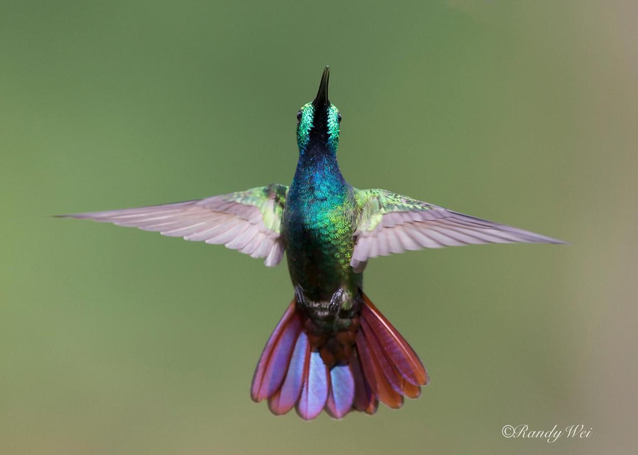 Arte De Plumas Birding Lodge 迦太基 外观 照片