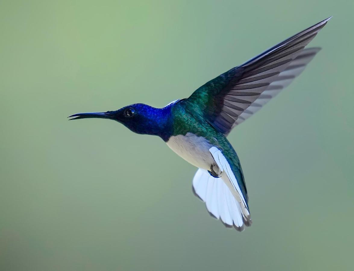 Arte De Plumas Birding Lodge 迦太基 外观 照片